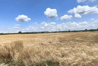 Teren de 7100 mp, în Păulești - 7