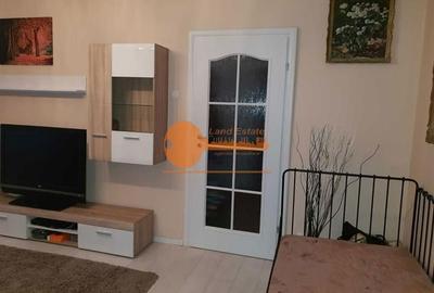 Apartament cu 2 camere semidecomandat, mobilat în Tineretului - 5