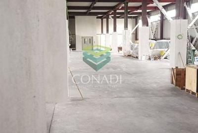 Hala Otopeni zona pasaj DNCB  Lukoil BMW - 3