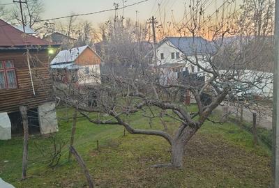 Spațiu comercial, în Lac de Verde - 4