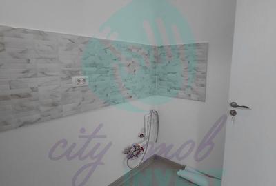 Garsoniera renovata complet | ParkLake & IOR | Bd. Camil Ressu - 5