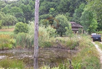 Casă cu 6 camere cu Teren 2700 Mp în Bradu - 1