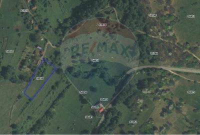 Teren Construcții intravilan de 1500 mp, în Damiș - 2