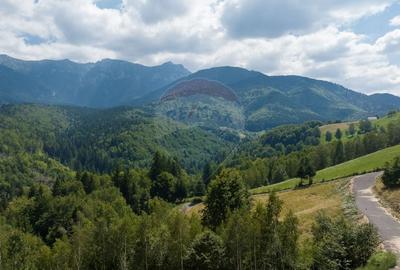 Teren Panoramic in Bran - Vedere spre Bucegi & Piatra Craiului - 9