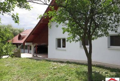 Viile Satu Mare 2 case cu teren 3200 mp - 3