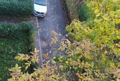 Apartament cu 2 camere decomandat, mobilat în Grigorescu - 15