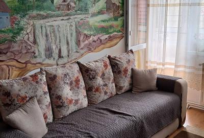 Apartament cu 2 camere semidecomandat în Terezian - 8