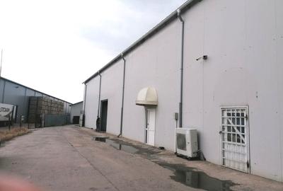 Zona Industriala (Descarcare A4), eurohala 560 mp.