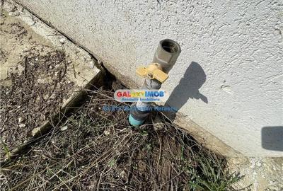 Gulia Tartasesti Str Samurcasi 482 mp deschidere 25 ml - 9