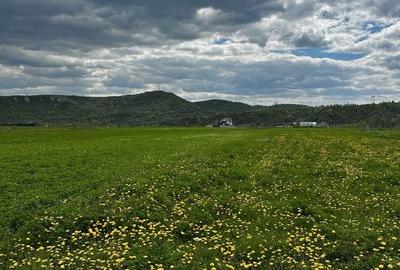 Teren de 6000 mp, în Oituz - 4