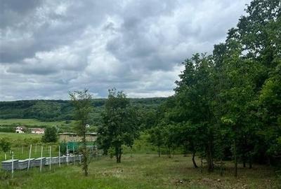 RECO teren de vanzare in zona Betfia - 4