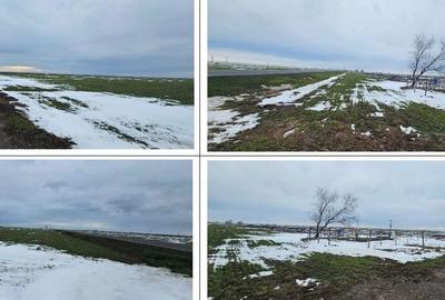 Teren de 20000 mp, în Dragalina - 2