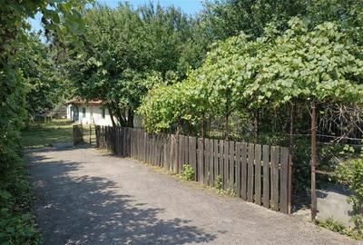 Casă cu 2 camere cu Teren 546 Mp în Bartolomeu - 4