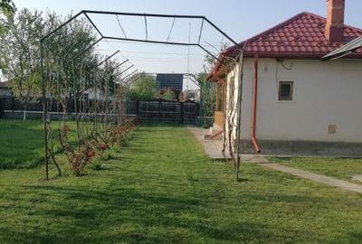 Casa + teren de vanzare | 3200mp | Crivatu, Cornesti, Dambovita