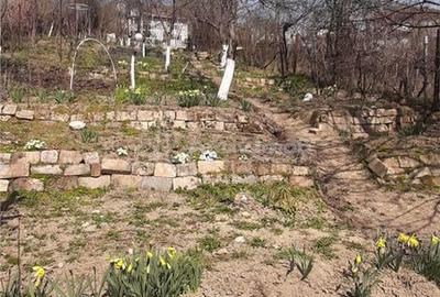 Teren de 600 mp, în Triaj - 7