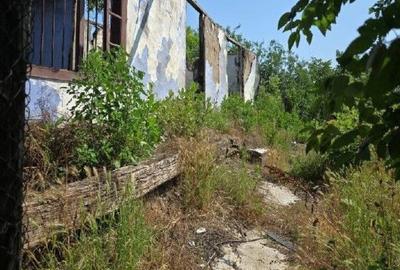 Casa si teren Cucuruzu, ID: R2609648 - 2