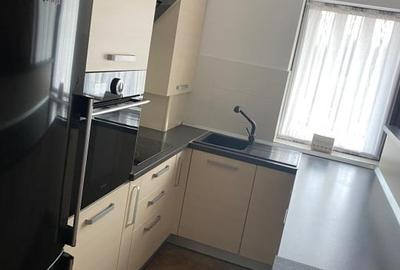 Apartament cu 4 camere pe 2 nivele 90.88mp plus terasa 21.3mp Stejarului - 4