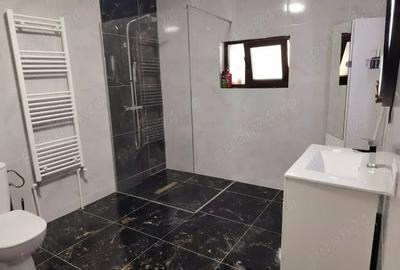 Vand casa in Cara? Severin Re?i?a - 2