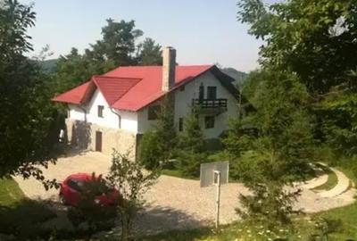Casă cu 6 camere cu Teren 6200 Mp în Provița de Jos