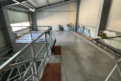 Hală,birourii/depozitare în zona Lugojului - 6