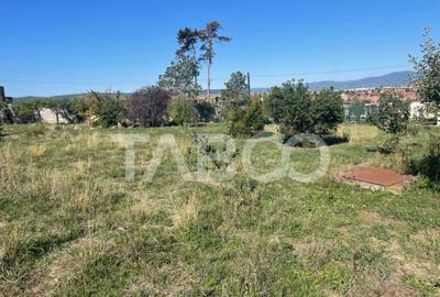 Teren intravilan de vanzare in Sebes zona Motel Dacia - 3