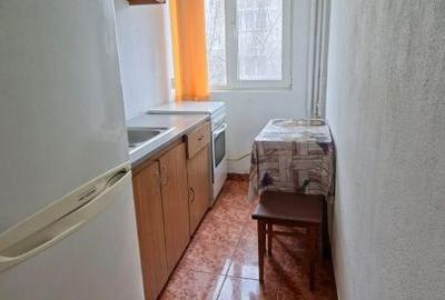 Apartament cu 2 camere semidecomandat, mobilat în Banat - 9