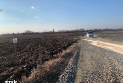 Teren de 4700 mp, în Florești - 1