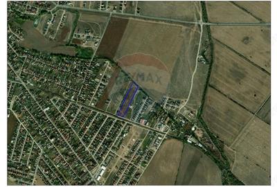 Teren de 11870 mp, în Sântandrei - 3