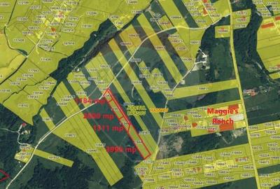 Teren Rasnov -Glajerie, Poiana Velicanului, 1447mp, la st... - 3