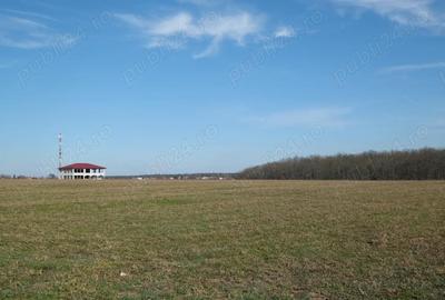 Teren de 1075 mp, în Găneasa - 6