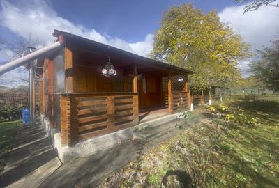 Casute Breaza, teren 1140 mp Casute Breaza, teren 1140 mp - 9