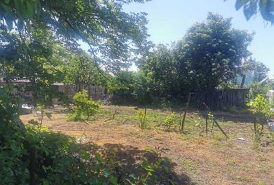 Casă cu 4 camere în Stănești - 6