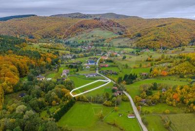 COMISION 0% Teren 3,109mp Dobarlau/ Partial intravilan - 7