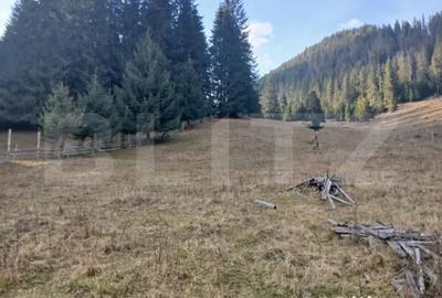 Teren în Central - 6