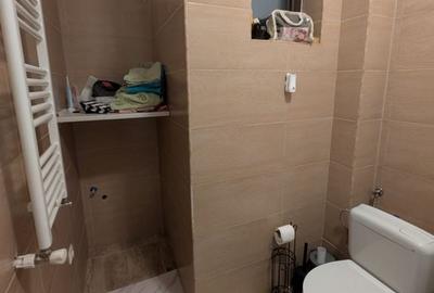 3 Camere Demisol 2 Balcoane Mobilat | Apusului Residential 2014 - 13