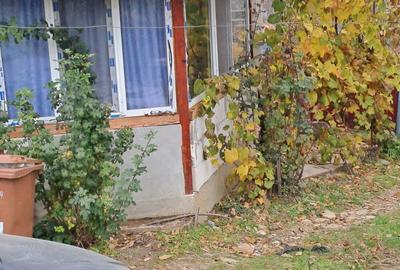 Casă cu 3 camere în Băiceni (Todirești)