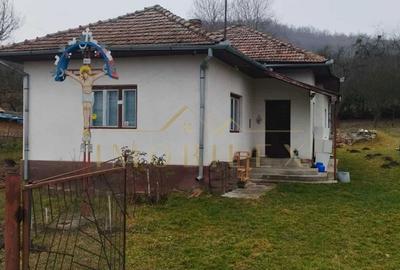 Casă cu 3 camere cu Teren 3570 Mp în Așchileu - 6