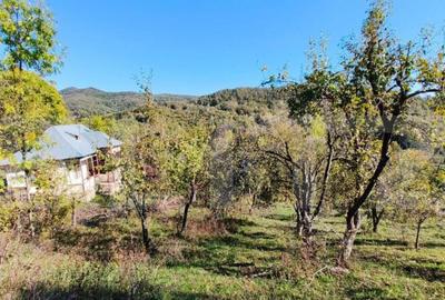 Teren cu priveli?te superba , livada ?i poten?ial casu? - 4