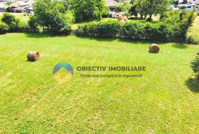 Teren intravilan 1657 mp sat Stejaru, comuna Pangarati - 3