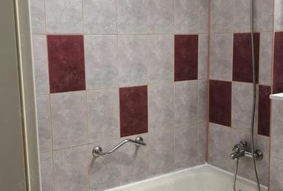Apartament cu 2 camere semidecomandat în Șagului - 7