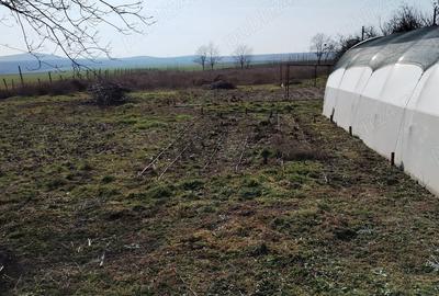 Casă cu 3 camere în Grădina - 3