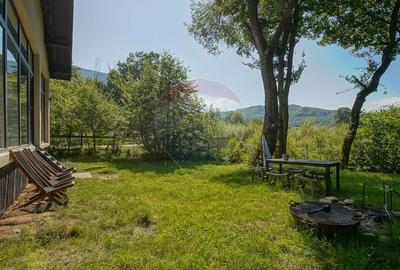 Casa de vacanta superba -Cheile Rasnoavei- liniste, natura si confort! - 12