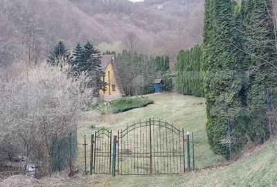 Casa de Vacan?a pe Valea Ighielului 3 camere, 2500 mp curte - 6