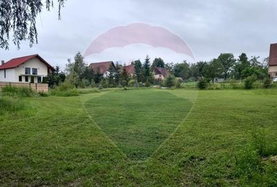 Teren 1,084mp Ocna Sugatag / Strada UNIRII Teren 1,084mp Ocna Sugatag / Strada UNIRII - 3