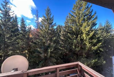 Pensiune de vanzare in statiunea Paltinis,Sibiu- Afacere la cheie - 19