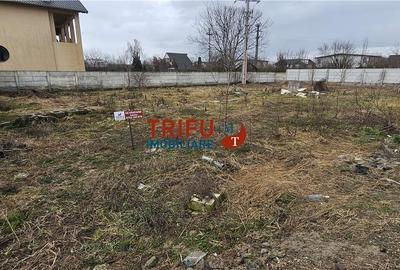 Spațiu comercial, în Cetate - 3