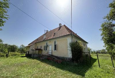 De vanzare Conacul istoric Apor din Zalan, cu teren de 15.691 m - 3