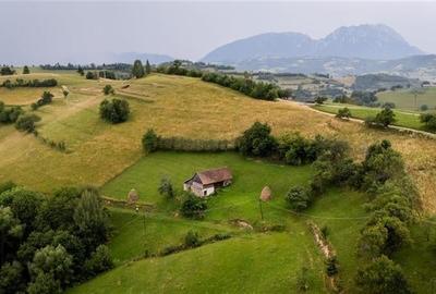 10.335 mp + imobil, splendoare si regasire in mijlocul naturii, Poiana Marului - 7