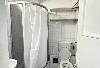 Colentina Lacul Tei Facultatea de Constructii - 5