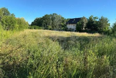 TEREN INTRAVILAN //GAGENI//PAULESTI - 6